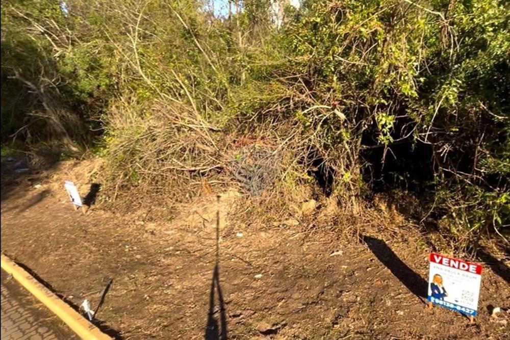 Terreno - Venda - Guaíba , Rio Grande do Sul - Imagem do WhatsApp de 2025-08-28 à(s) 16.10.24_4688e3e3.jpg - 612781019-11