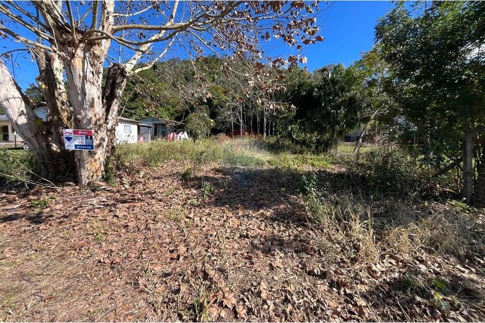 Terreno - Venda - Santa Cruz do Sul , Rio Grande do Sul - WhatsApp Image 2025-07-01 at 14.24.52.jpeg - 612741054-6