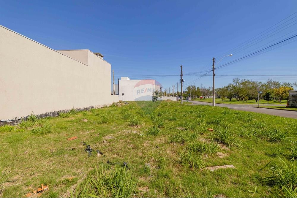 Terreno - Venda - Gravataí , Rio Grande do Sul - IMG_4356.jpg - 610141006-146