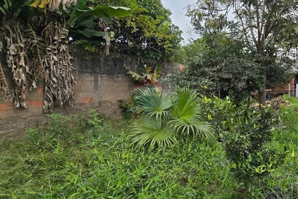 Terreno - Venda - Cachoeirinha , Rio Grande do Sul - WhatsApp Image 2025-06-14 at 14.51.21 (3).jpeg - 610381039-873