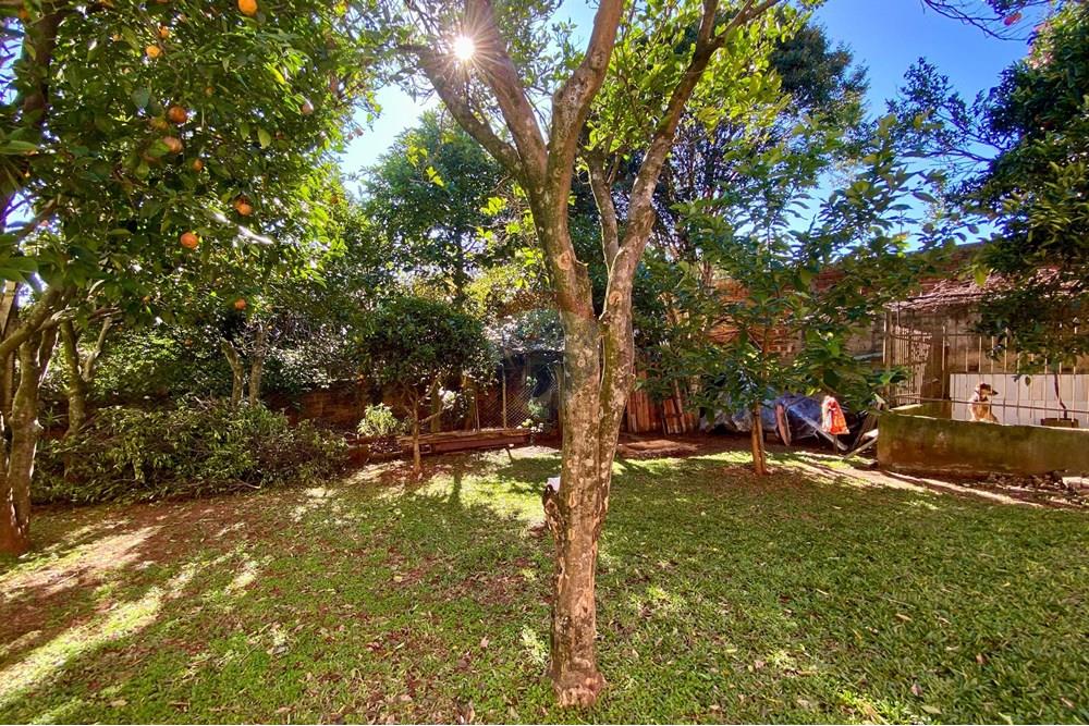 Casa - Venda - Passo Fundo , Rio Grande do Sul - WhatsApp Image 2025-06-26 at 10.10.32 (1).jpeg - 610271094-15