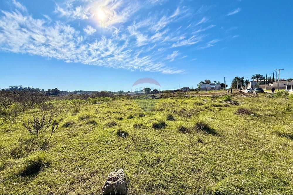 Terreno - Venda - São Gabriel , Rio Grande do Sul - 42cbba20-a120-4a5a-9be6-d88101ca7d8a.jpeg - 612631037-8