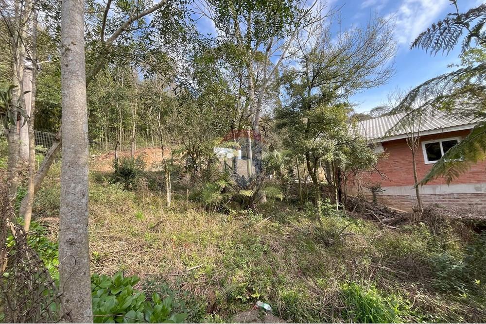 Terreno - Venda - Gramado , Rio Grande do Sul - IMG_4163.jpeg - 610131005-43