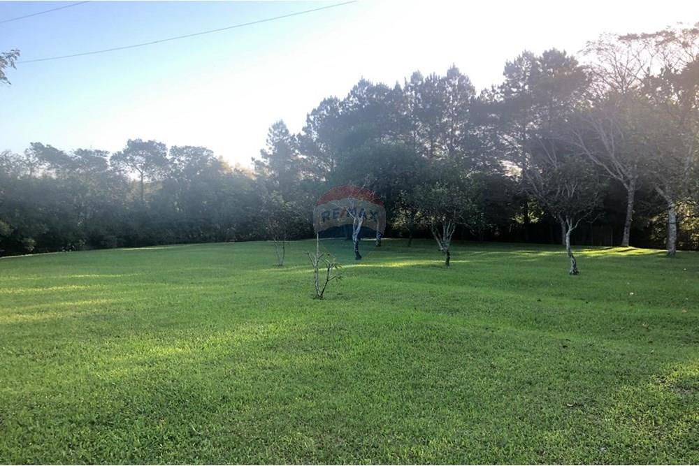 Terreno - Venda - Cachoeirinha , Rio Grande do Sul - WhatsApp Image 2025-04-23 at 10.28.30 (1).jpeg - 612551062-37