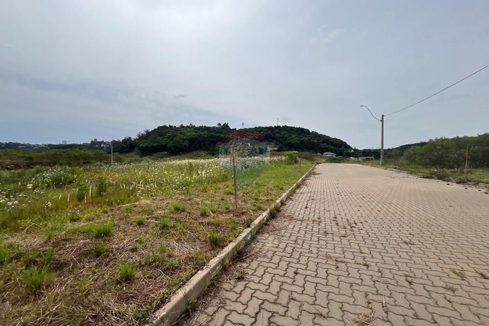 Terreno - Venda - Bento Gonçalves , Rio Grande do Sul - WhatsApp Image 2024-12-11 at 14.13.52.jpeg - 610331038-19