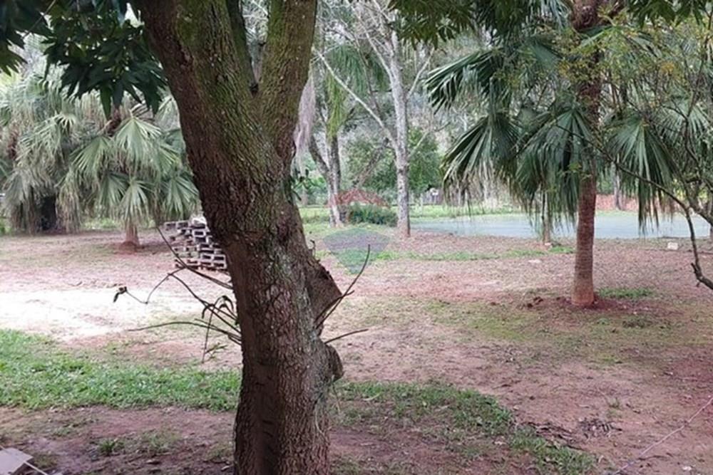 Chácara / Sítio / Fazenda - Venda - Cachoeirinha , Rio Grande do Sul - WhatsApp Image 2025-10-14 at 12.34.30 (1).jpeg - 612551074-25