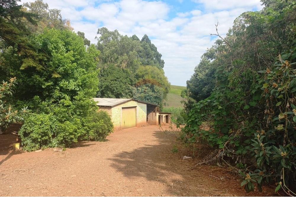 Chácara / Sítio / Fazenda - Venda - Nonoai , Rio Grande do Sul - 1000558486.jpg - 610231010-128