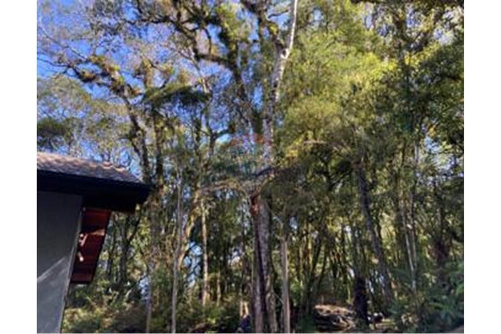 Casa - Venda - São Francisco de Paula , Rio Grande do Sul - IMG_5563_2.thumbnail.jpg - 610131051-6