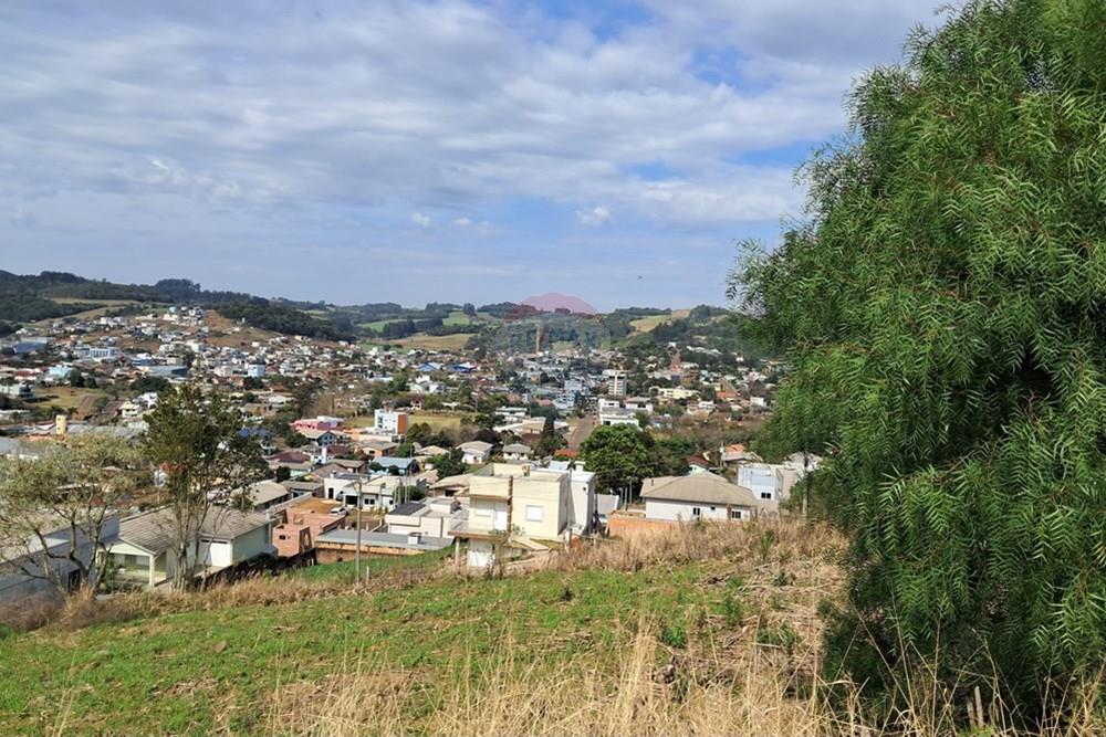 Terreno - Venda - Barão de Cotegipe , Rio Grande do Sul - 556283ab-6a9c-4cfa-b0c9-d754df97c682.jpg - 612761034-3