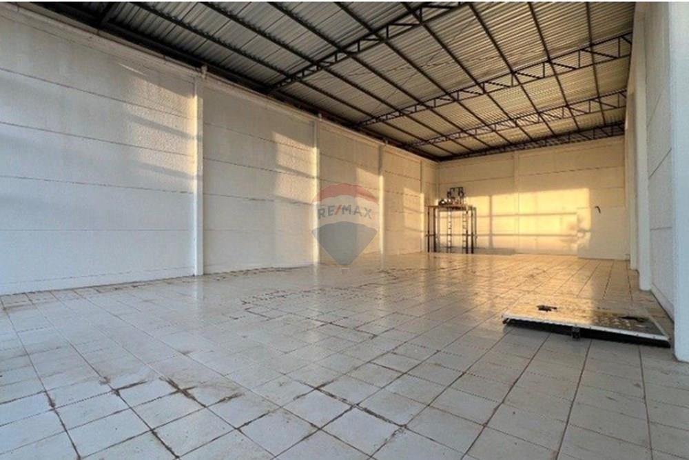 Ponto Comercial/ Loja - Alugar - Passo Fundo , Rio Grande do Sul - ifddHv5j5m5G69WB9_10164669fc5253bba7.jpg - 610271045-1066