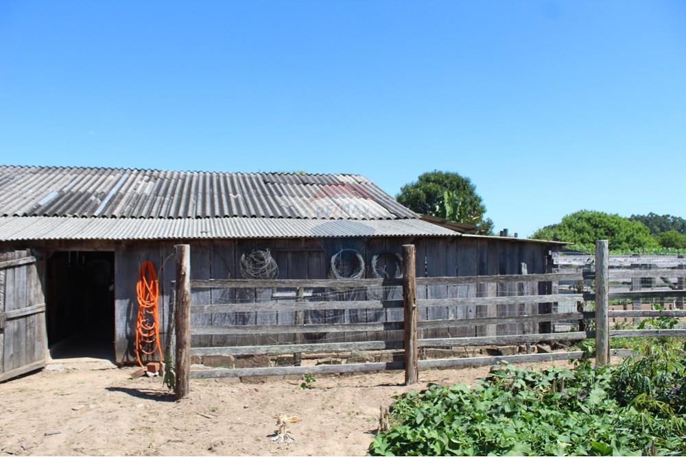 Casa de Campo - Venda - Santo Antônio da Patrulha , Rio Grande do Sul - IMG_3247.JPG - 610161090-7