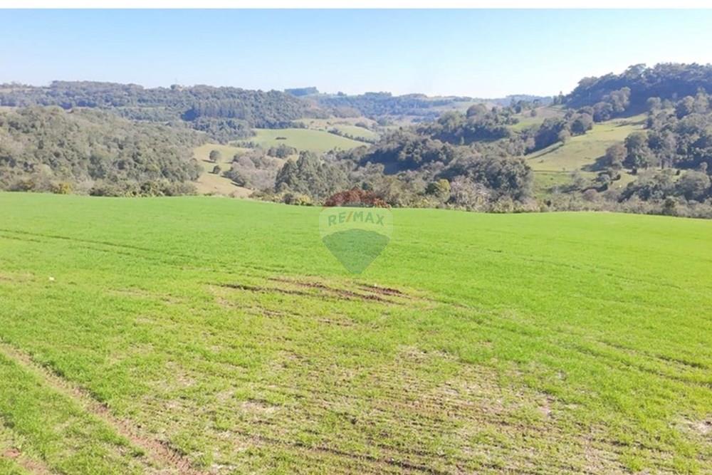 Chácara / Sítio / Fazenda - Venda - Trindade do Sul , Rio Grande do Sul - IMG-20250814-WA0075.jpg - 610231004-94