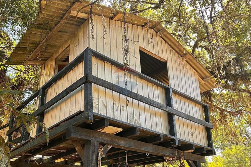 Casa - Venda - Guaíba , Rio Grande do Sul - c9af8fa6-c15d-4561-9f56-e3ac75262d89.jpeg - 612781019-10