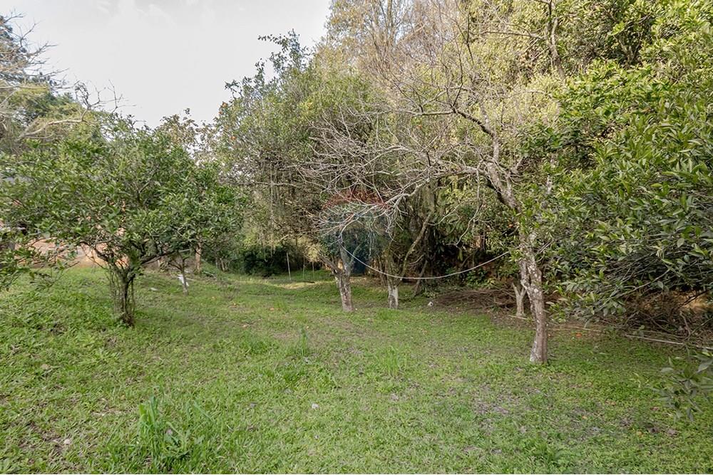 Terreno - Venda - Porto Alegre , Rio Grande do Sul - Arvores frutas.jpg - 612521076-4