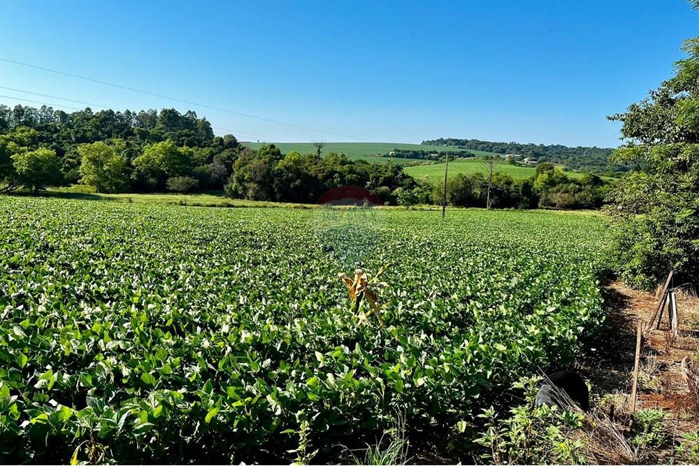 Chácara / Sítio / Fazenda - Venda - Não-Me-Toque , Rio Grande do Sul - WhatsApp Image 2025-01-20 at 20.18.08 (1).jpeg - 610271058-70