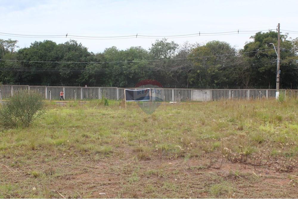 Terreno - Venda - Gravataí , Rio Grande do Sul - IMG_3913.JPG - 610161057-54