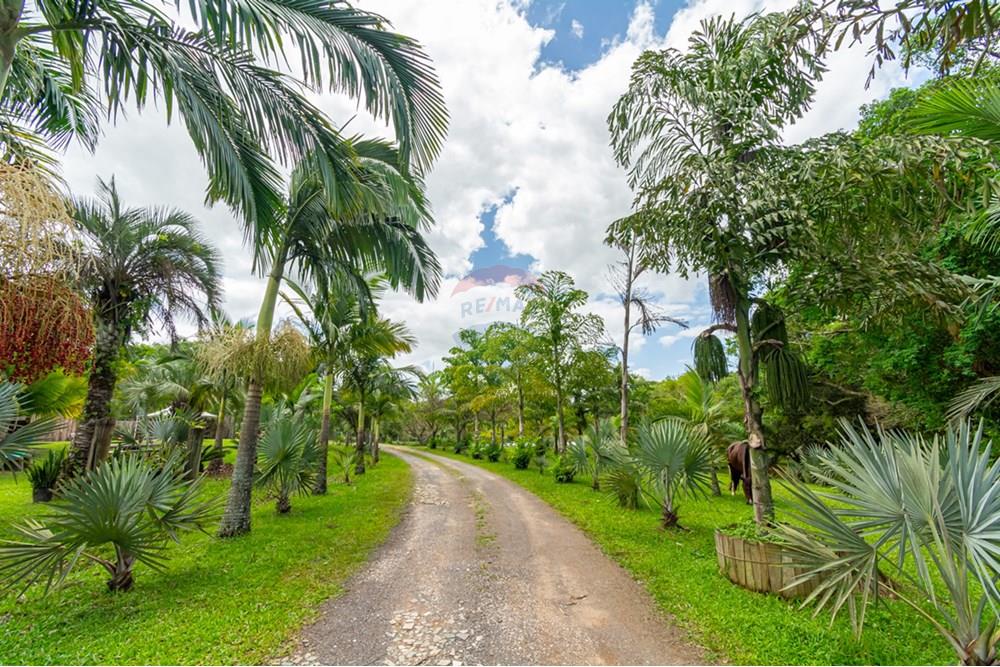 Terreno - Venda - Gravataí , Rio Grande do Sul - _DSC4950.jpg - 610161057-39