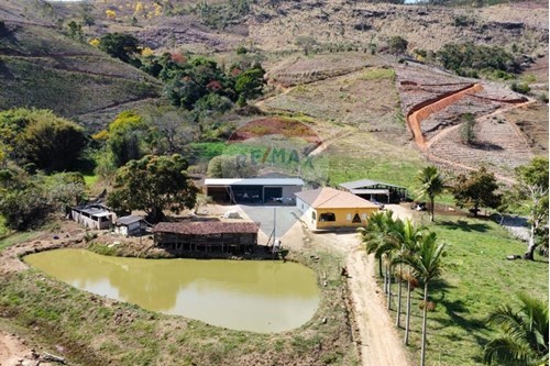 Venda-Chácara / Sítio / Fazenda-Pequiá , Iúna , Espírito Santo , 29390-000-620251001-9