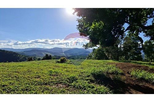 Venda-Chácara / Sítio / Fazenda-Vargem grande , 100  - Afonso Cláudio , Espírito Santo , 29600000-620171039-31