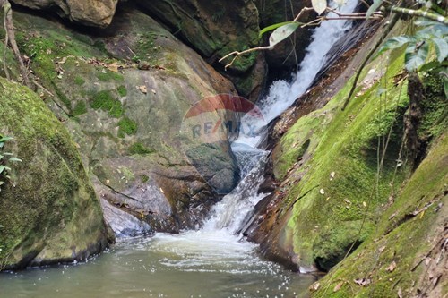 Venda-Fazenda-Santo Antônio do Rio Doce , Aimorés , Minas Gerais , 35200-000-620131043-13