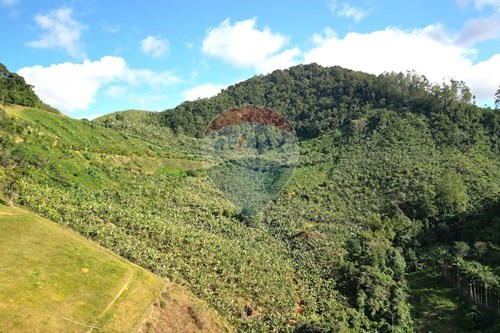 Venda-Chácara / Sítio / Fazenda-Duas Barras , 41  - Duas barras  - Bom Destino , Iconha , Espírito Santo , 29280000-620201020-13