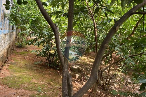 Slider Panorama Image Thumbnail