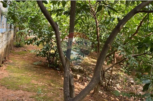 Slider Panorama Image Thumbnail