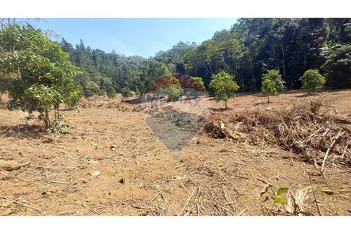 Venda-Terreno-Rua Passos , 25  - ARACE  - Aracê , Domingos Martins , Espírito Santo , 29278000-620171003-3