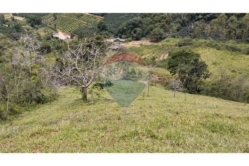 Venda-Chácara / Sítio / Fazenda-ALTO SAO FELIPE , SN  - Centro , Guaçuí , Espírito Santo , 29560000-620251002-2