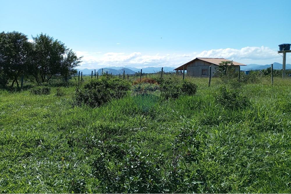 Terreno - Venda - Anchieta , Espírito Santo - IMG_20250520_130056.jpg - 620181007-45