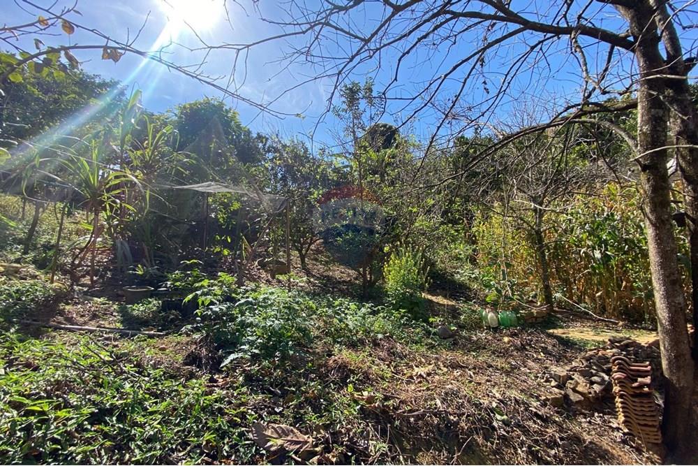 Chácara / Sítio / Fazenda - Venda - Alegre , Espírito Santo - WhatsApp Image 2025-08-15 at 16.18.04 (2).jpeg - 620251001-49