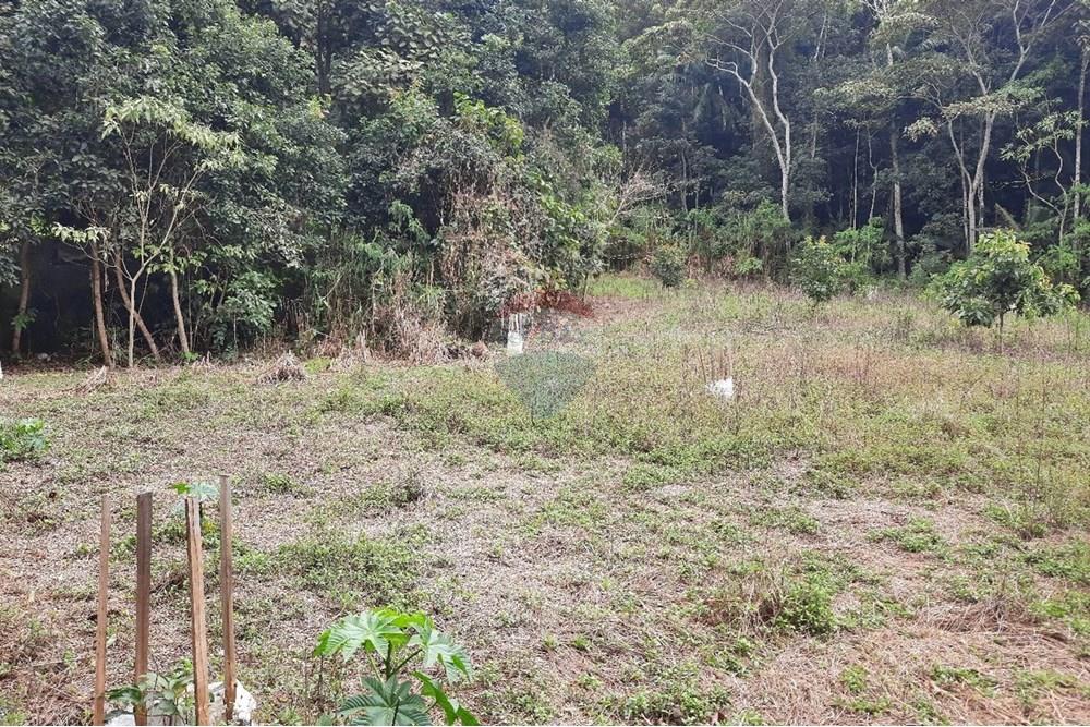 Terreno - Venda - Domingos Martins , Espírito Santo - WhatsApp Image 2025-06-05 at 11.09.37.jpeg - 620171060-3