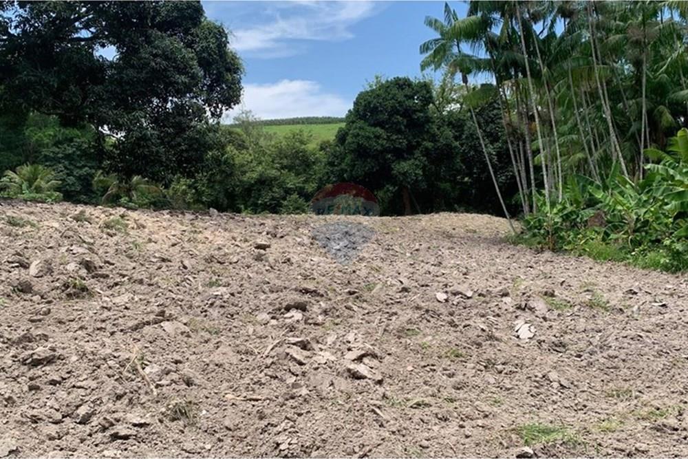 Chácara / Sítio / Fazenda - Venda - Anchieta , Espírito Santo - Imagem do WhatsApp de 2025-09-05 à(s) 16.04.07_dce1be68.jpg - 620181007-51