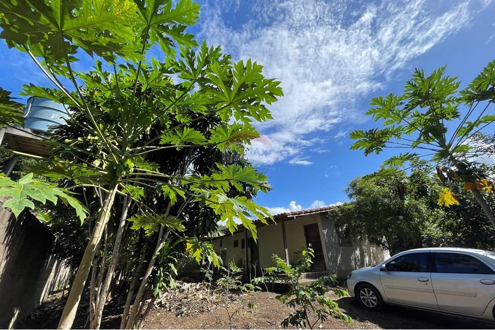 Terreno - Venda - Vila Velha , Espírito Santo - IMG_6436.jpeg - Quintal - 620171059-6