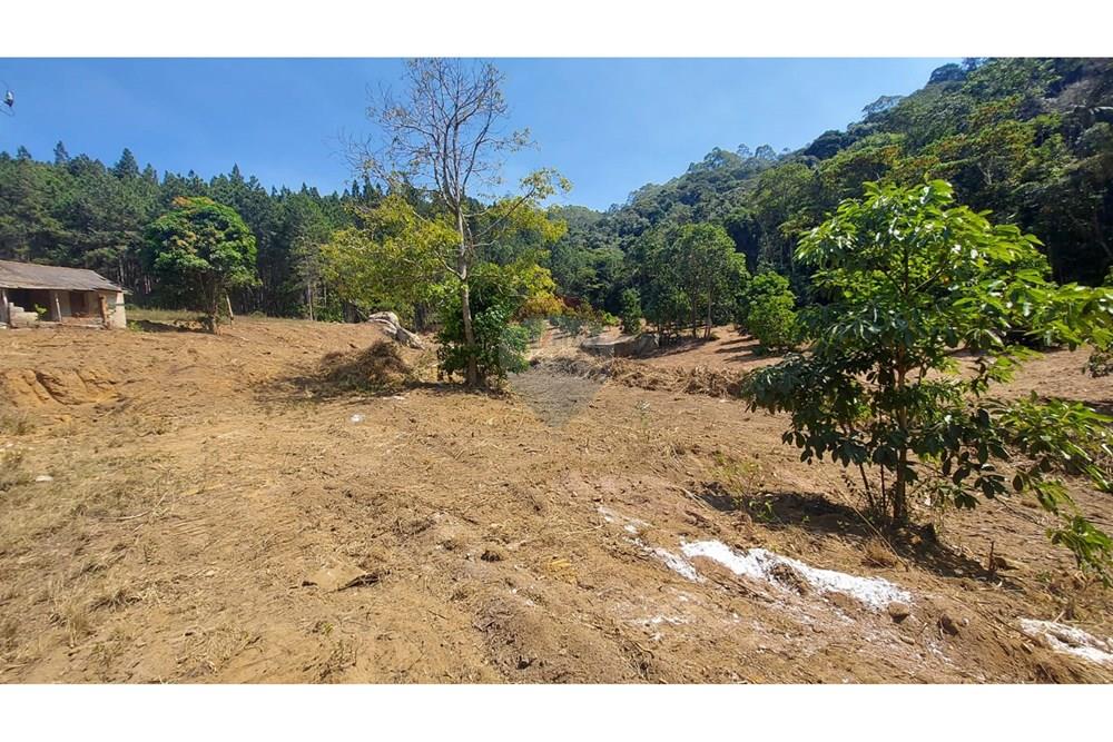Terreno - Venda - Domingos Martins , Espírito Santo - WhatsApp Image 2025-06-05 at 11.09.55 (2).jpeg - 620171060-3