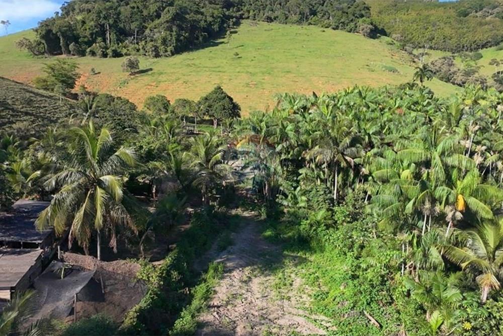 Chácara / Sítio / Fazenda - Venda - Anchieta , Espírito Santo - Imagem do WhatsApp de 2025-09-05 à(s) 16.03.50_10819e2c.jpg - 620181007-51