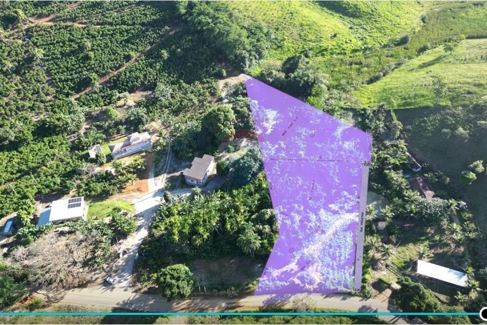 Chácara / Sítio / Fazenda - Venda - Anchieta , Espírito Santo - Imagem do WhatsApp de 2025-09-05 à(s) 16.04.06_877047a4.jpg - 620181007-51