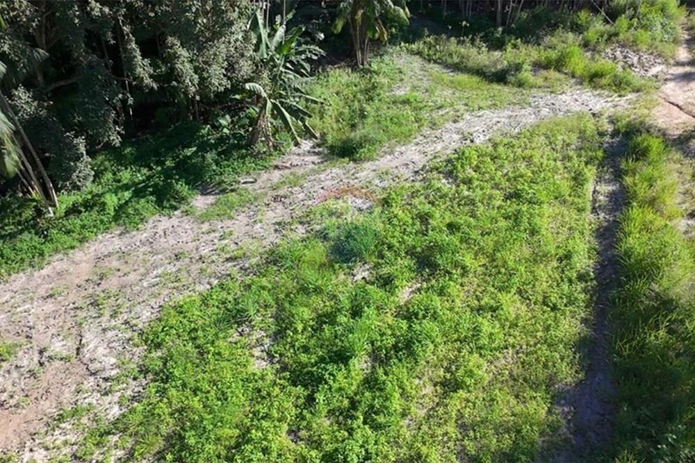 Chácara / Sítio / Fazenda - Venda - Anchieta , Espírito Santo - Imagem do WhatsApp de 2025-09-05 à(s) 16.04.05_5041632a.jpg - 620181007-51