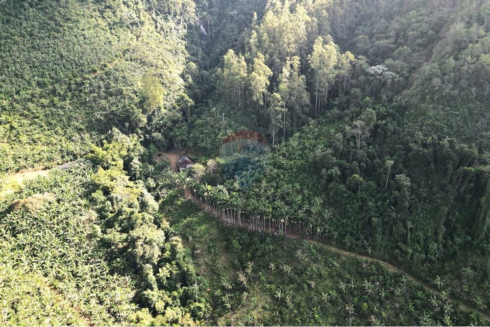 Chácara / Sítio / Fazenda - Venda - Iconha , Espírito Santo - DJI_0525.JPG - 620201020-13