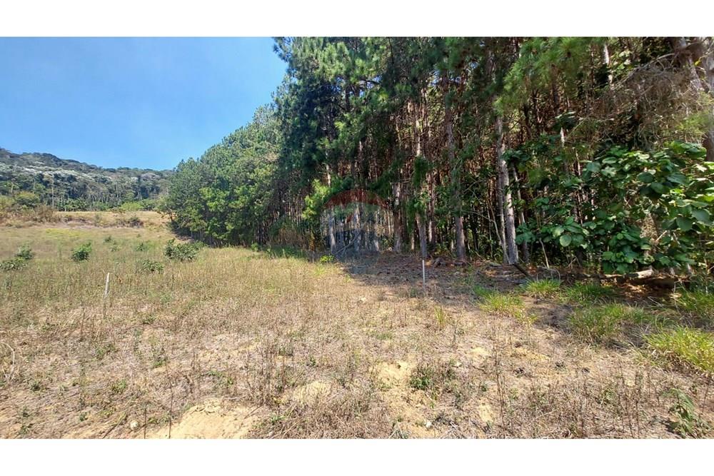 Terreno - Venda - Domingos Martins , Espírito Santo - WhatsApp Image 2025-06-05 at 11.09.52 (4).jpeg - 620171060-3