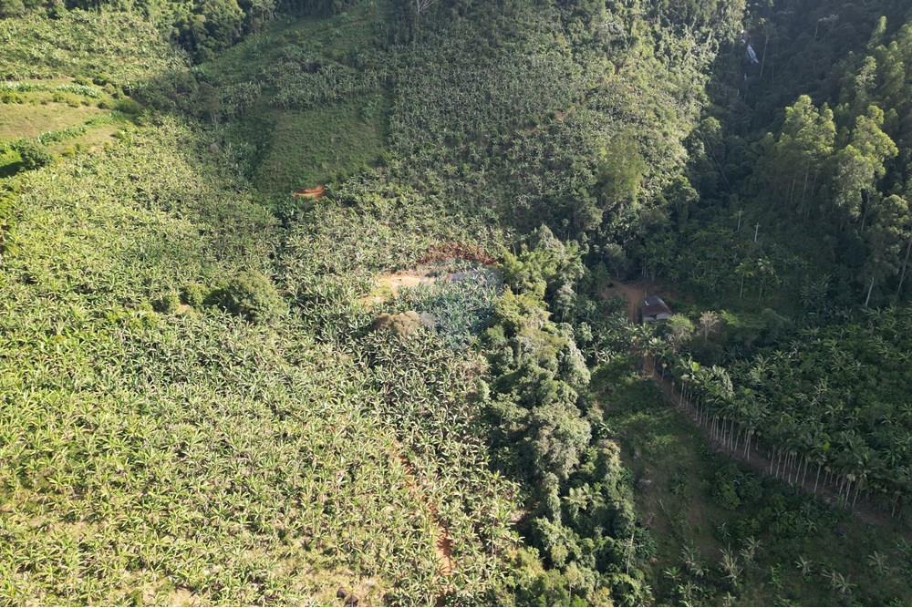 Chácara / Sítio / Fazenda - Venda - Iconha , Espírito Santo - DJI_0524.JPG - 620201020-13