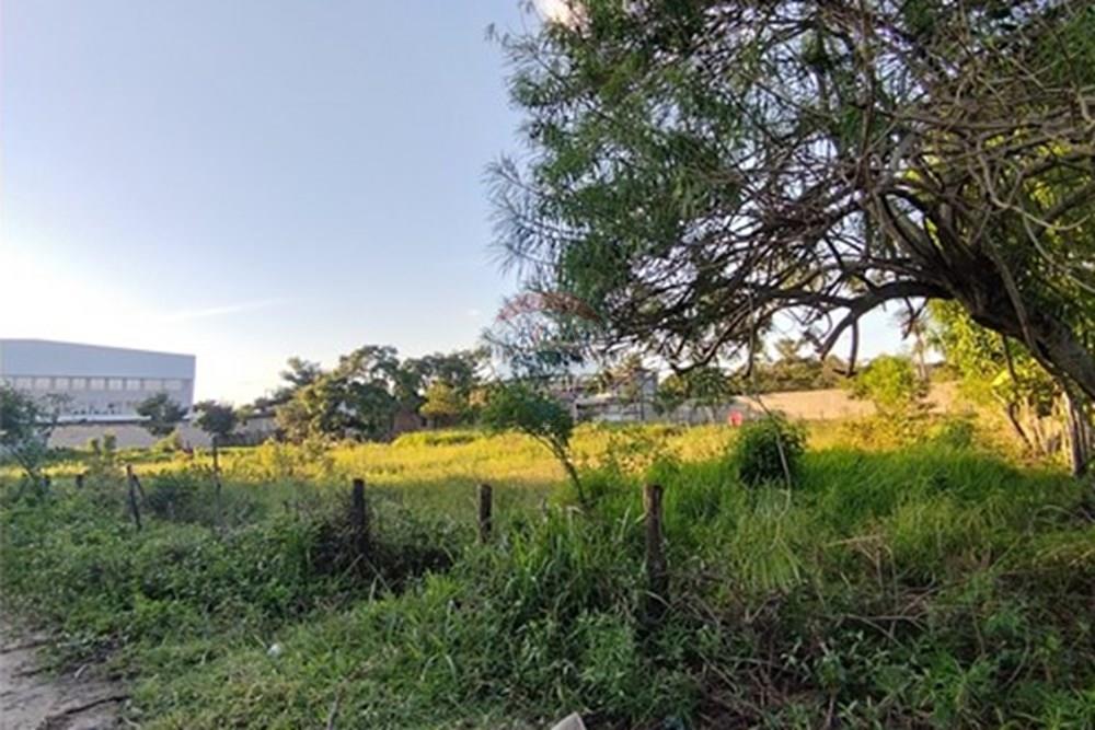 Terreno - Venda - Vila Velha , Espírito Santo - IMG_20250608_162129.jpg - 620101031-20