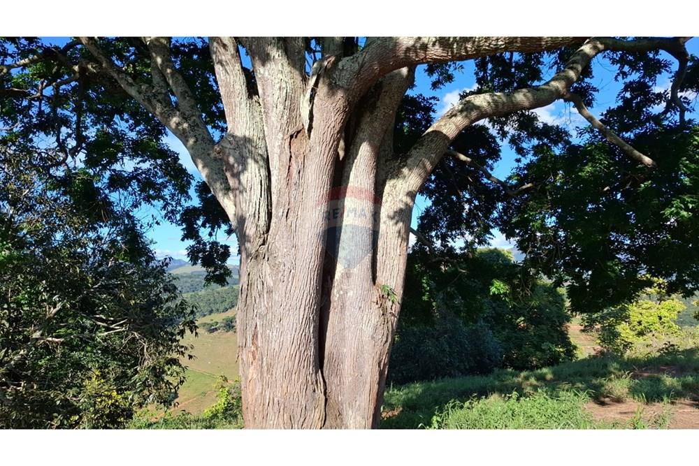 Chácara / Sítio / Fazenda - Venda - Afonso Cláudio , Espírito Santo - WhatsApp Image 2025-02-07 at 17.16.11.jpeg - 620171039-31