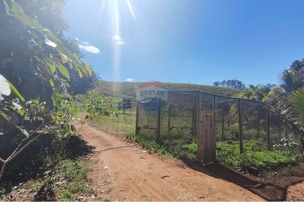 Chácara / Sítio / Fazenda - Venda - Guaçuí , Espírito Santo - WhatsApp Image 2025-07-08 at 15.31.24 (2).jpeg - 620251001-23