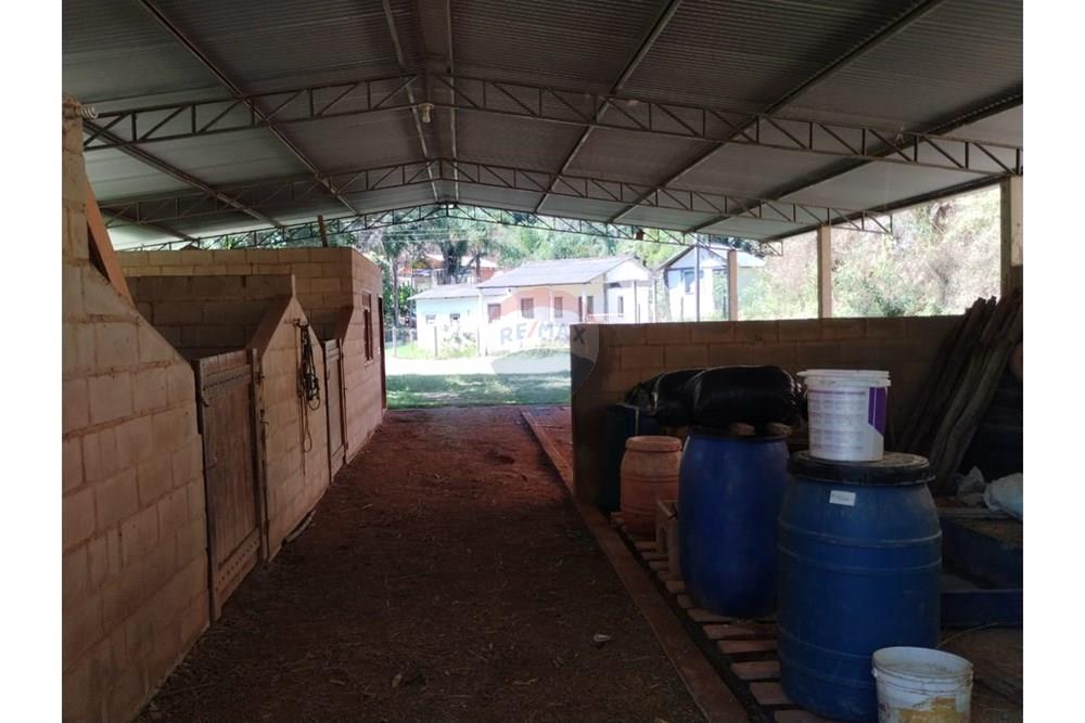 Chácara / Sítio / Fazenda - Venda - Guaçuí , Espírito Santo - WhatsApp Image 2025-05-22 at 12.22.25.jpeg - 620251001-6