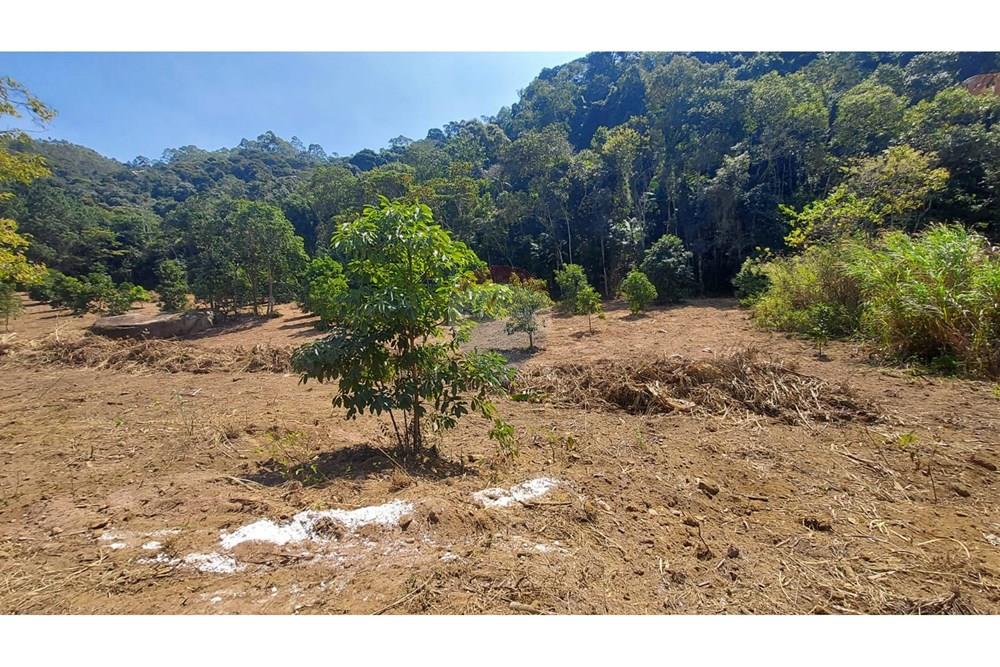 Terreno - Venda - Domingos Martins , Espírito Santo - WhatsApp Image 2025-06-05 at 11.09.55.jpeg - 620171060-3