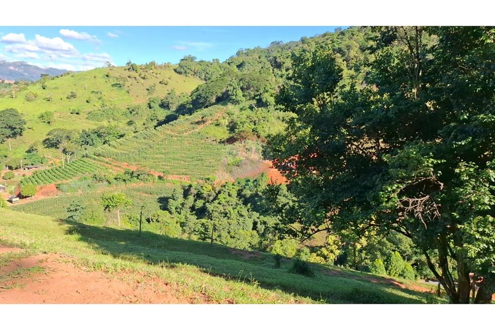 Chácara / Sítio / Fazenda - Venda - Afonso Cláudio , Espírito Santo - WhatsApp Image 2025-02-07 at 17.16.14 (1).jpeg - 620171039-31