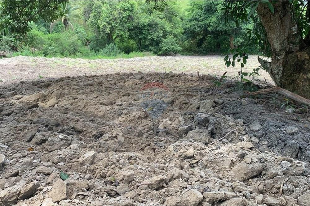 Chácara / Sítio / Fazenda - Venda - Anchieta , Espírito Santo - Imagem do WhatsApp de 2025-09-05 à(s) 16.04.08_c4343866.jpg - 620181007-51