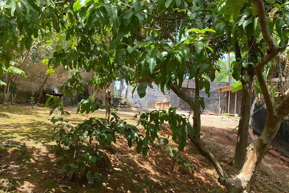 Terreno - Venda - Vila Velha , Espírito Santo - WhatsApp Image 2025-03-18 at 16.12.38 (2).jpeg - 620101035-22