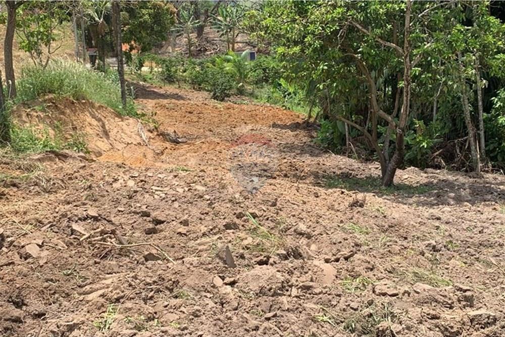 Chácara / Sítio / Fazenda - Venda - Anchieta , Espírito Santo - Imagem do WhatsApp de 2025-09-05 à(s) 16.04.08_8c5c80ae.jpg - 620181007-51